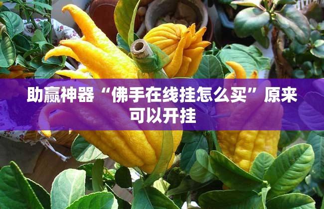 助赢神器“佛手在线挂怎么买”原来可以开挂