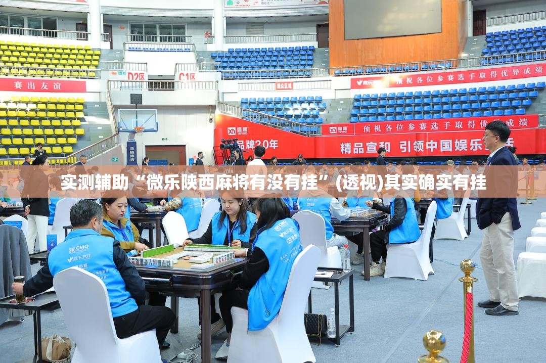 实测辅助“微乐陕西麻将有没有挂”(透视)其实确实有挂