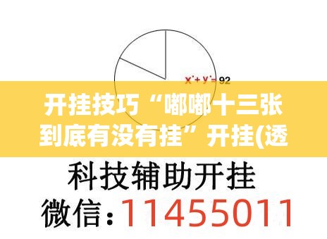 开挂技巧“嘟嘟十三张到底有没有挂	”开挂(透视)辅助教程