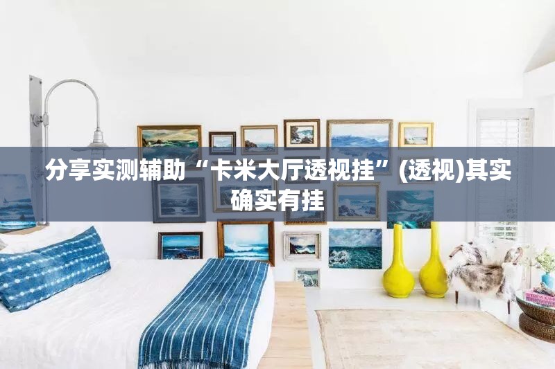 分享实测辅助“卡米大厅透视挂	”(透视)其实确实有挂