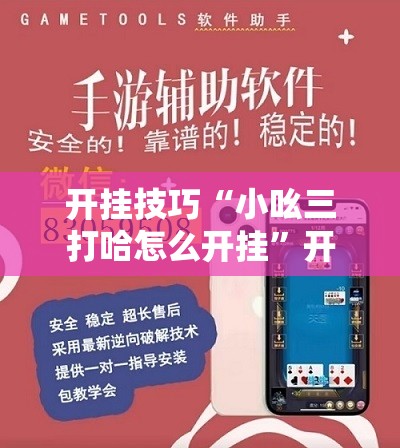 开挂技巧“小吆三打哈怎么开挂”开挂辅助脚本+详细开挂安装教程