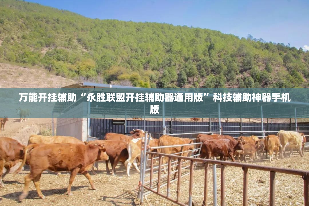 万能开挂辅助“永胜联盟开挂辅助器通用版”科技辅助神器手机版