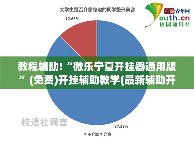 教程辅助!“微乐宁夏开挂器通用版”(免费)开挂辅助教学(最新辅助开挂教程)