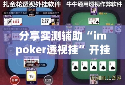 分享实测辅助“impoker透视挂”开挂详细教程