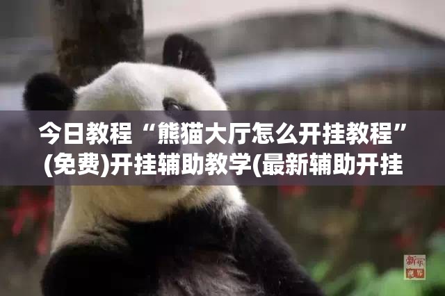 今日教程“熊猫大厅怎么开挂教程	”(免费)开挂辅助教学(最新辅助开挂教程)