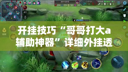 开挂技巧“哥哥打大a辅助神器”详细外挂透视辅助软件教程