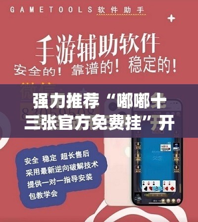 强力推荐“嘟嘟十三张官方免费挂	”开挂(透视)最新辅助详细