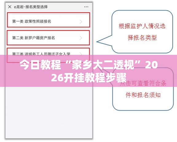 今日教程“家乡大二透视”2026开挂教程步骤