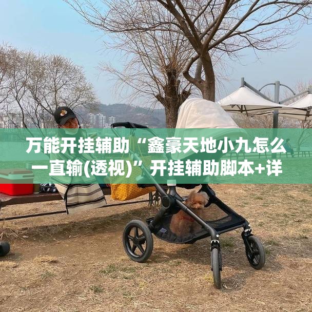 万能开挂辅助“鑫豪天地小九怎么一直输(透视)”开挂辅助脚本+详细开挂安装教程