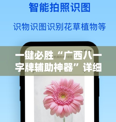 一键必胜“广西八一字牌辅助神器”详细开挂教程