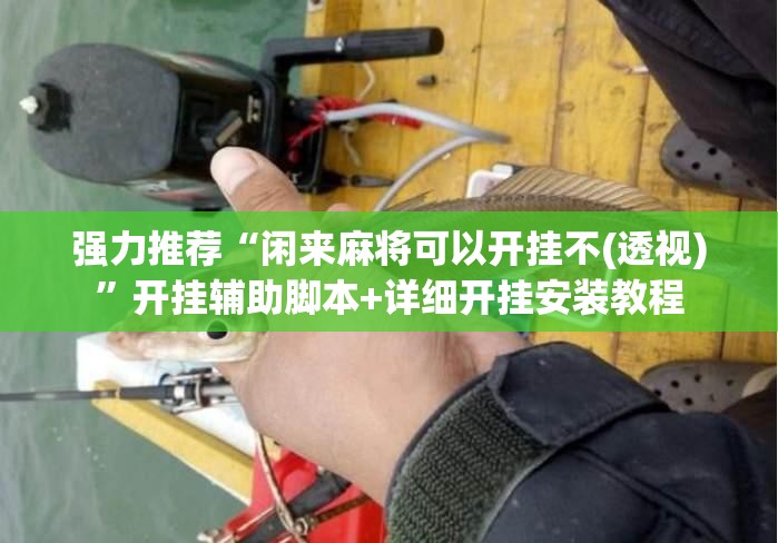 强力推荐“闲来麻将可以开挂不(透视)”开挂辅助脚本+详细开挂安装教程
