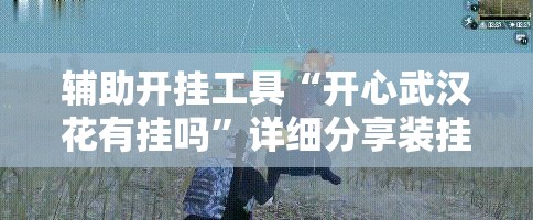 辅助开挂工具“开心武汉花有挂吗”详细分享装挂步骤