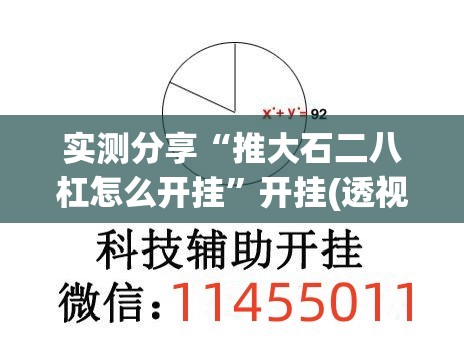实测分享“推大石二八杠怎么开挂”开挂(透视)辅助教程