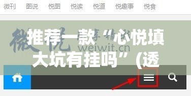推荐一款“心悦填大坑有挂吗”(透视挂)辅助下载教程