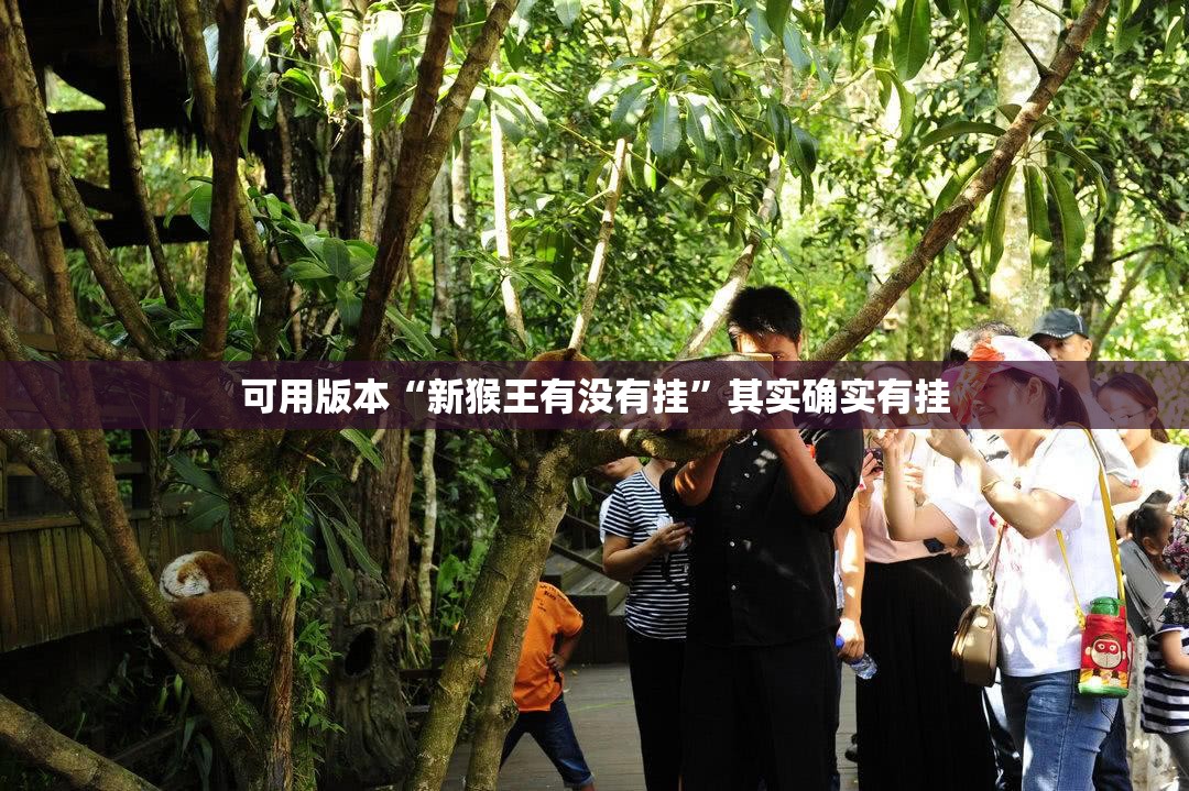 可用版本“新猴王有没有挂”其实确实有挂