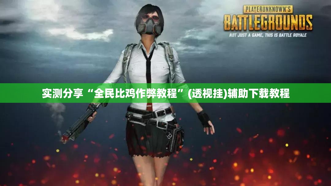 实测分享“全民比鸡作弊教程”(透视挂)辅助下载教程