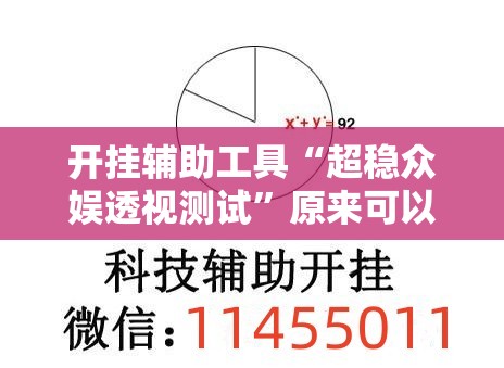 开挂辅助工具“超稳众娱透视测试”原来可以开挂