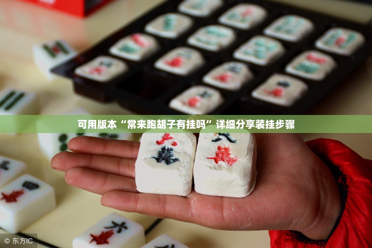 可用版本“常来跑胡子有挂吗”详细分享装挂步骤
