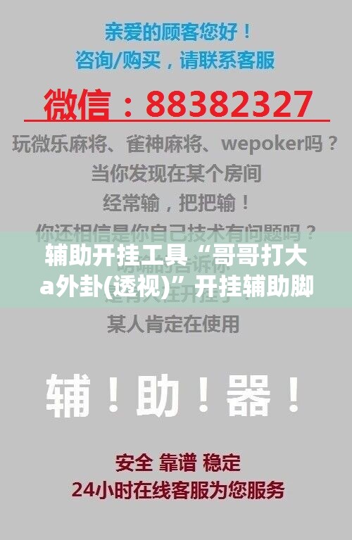 辅助开挂工具“哥哥打大a外卦(透视)”开挂辅助脚本+详细开挂安装教程
