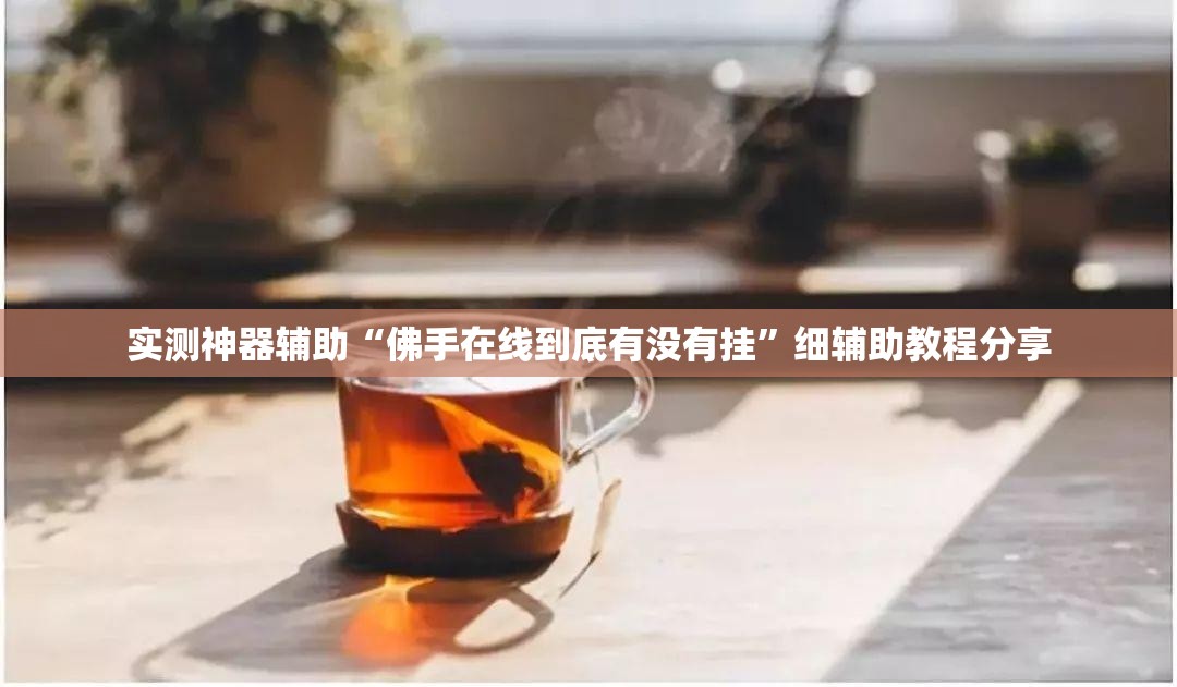 实测神器辅助“佛手在线到底有没有挂”细辅助教程分享