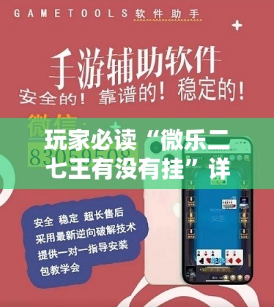 玩家必读“微乐二七王有没有挂”详细分享装挂步骤
