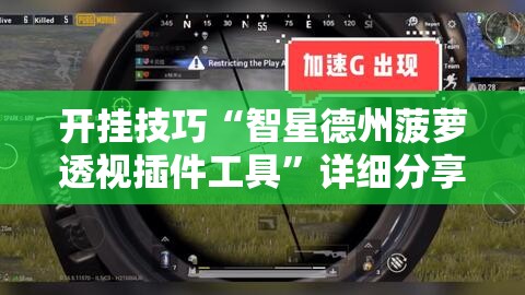 开挂技巧“智星德州菠萝透视插件工具”详细分享装挂步骤