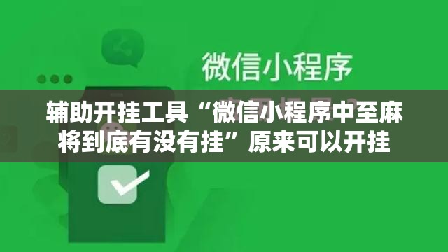 辅助开挂工具“微信小程序中至麻将到底有没有挂”原来可以开挂