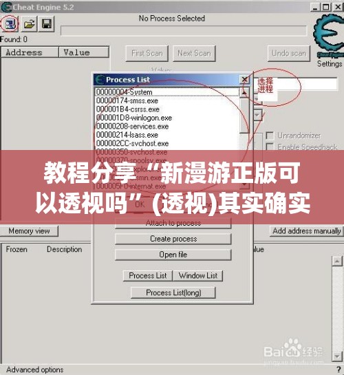 教程分享“新漫游正版可以透视吗”(透视)其实确实有挂