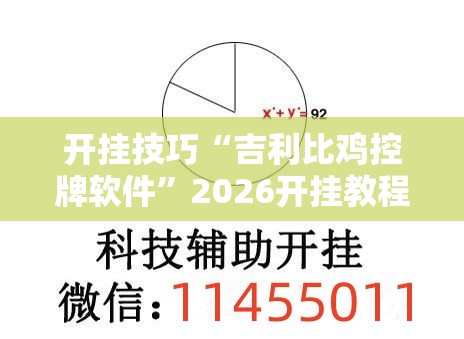 开挂技巧“吉利比鸡控牌软件”2026开挂教程步骤