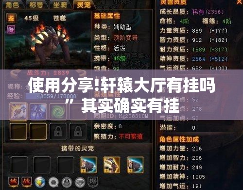 使用分享!轩辕大厅有挂吗	”其实确实有挂