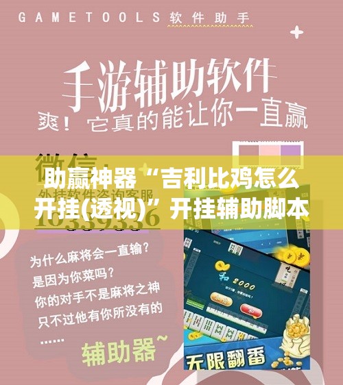 助赢神器“吉利比鸡怎么开挂(透视)	”开挂辅助脚本+详细开挂安装教程