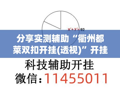 分享实测辅助“衢州都莱双扣开挂(透视)	”开挂辅助脚本+详细开挂安装教程