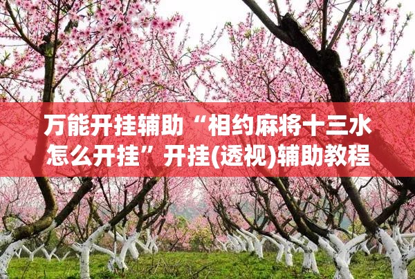 万能开挂辅助“相约麻将十三水怎么开挂”开挂(透视)辅助教程