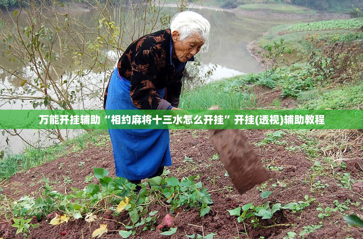 万能开挂辅助“相约麻将十三水怎么开挂	”开挂(透视)辅助教程