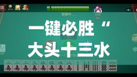 一键必胜“大头十三水怎么开挂	”开挂(透视)辅助教程
