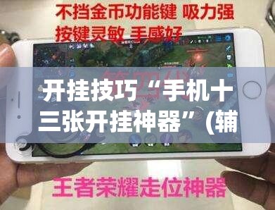 开挂技巧“手机十三张开挂神器”(辅助神器)开挂详细教程