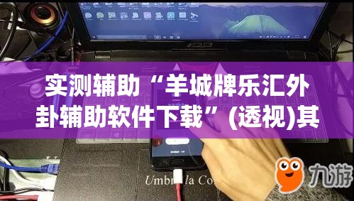实测辅助“羊城牌乐汇外卦辅助软件下载”(透视)其实确实有挂
