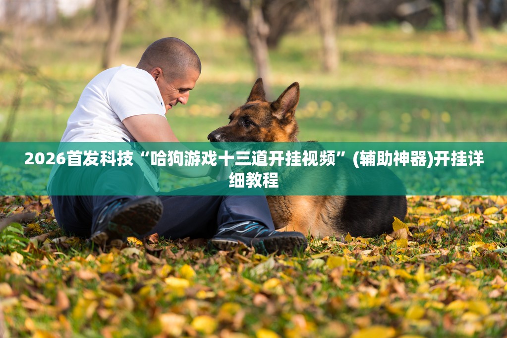 2026首发科技“哈狗游戏十三道开挂视频”(辅助神器)开挂详细教程