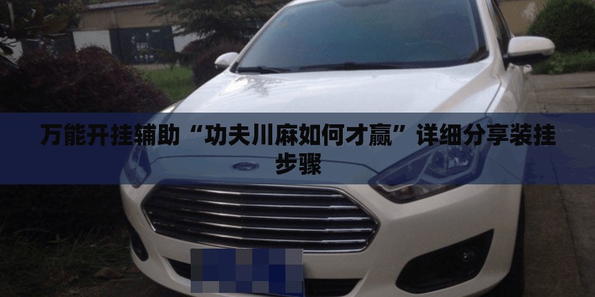 万能开挂辅助“功夫川麻如何才赢”详细分享装挂步骤