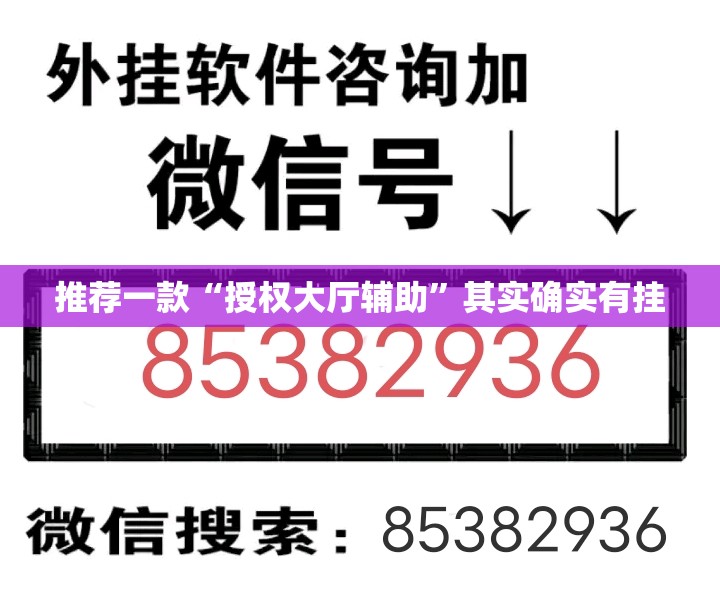 推荐一款“授权大厅辅助	”其实确实有挂