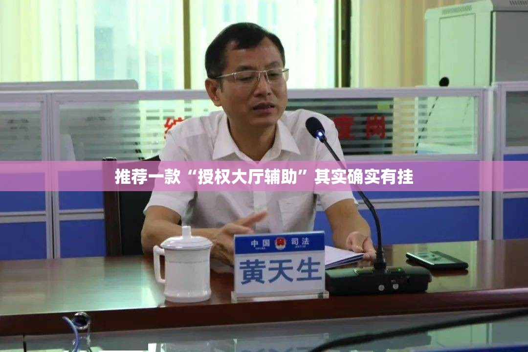 推荐一款“授权大厅辅助”其实确实有挂