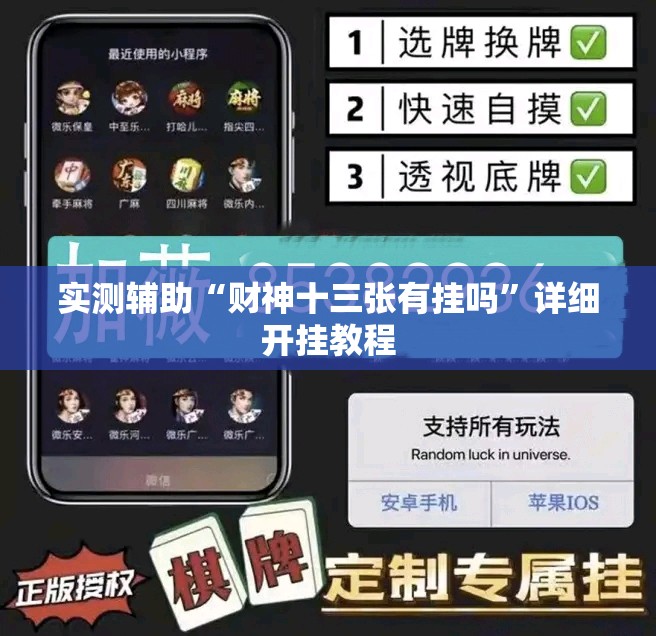 实测辅助“财神十三张有挂吗”详细开挂教程