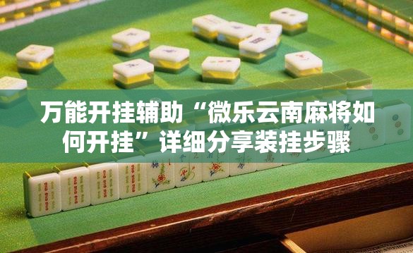 万能开挂辅助“微乐云南麻将如何开挂”详细分享装挂步骤