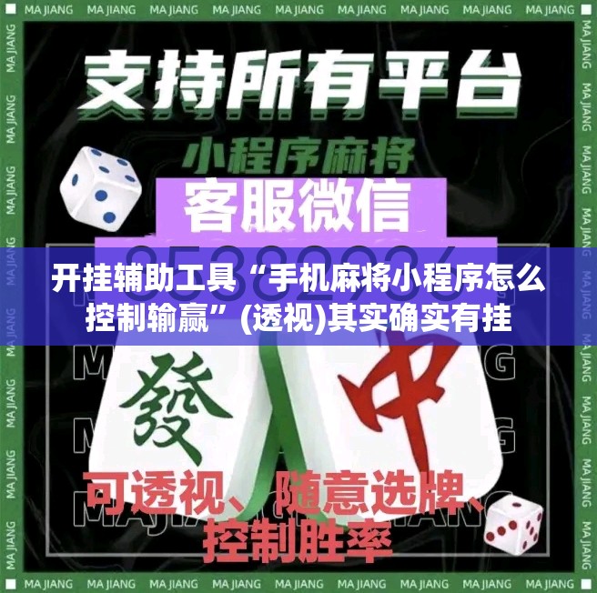 开挂辅助工具“手机麻将小程序怎么控制输赢	”(透视)其实确实有挂