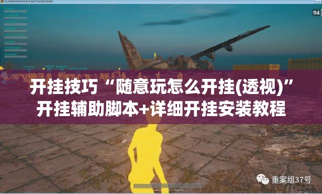 开挂技巧“随意玩怎么开挂(透视)”开挂辅助脚本+详细开挂安装教程
