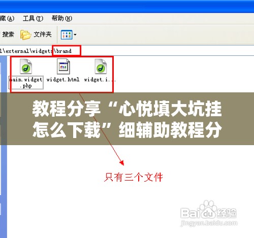 教程分享“心悦填大坑挂怎么下载”细辅助教程分享