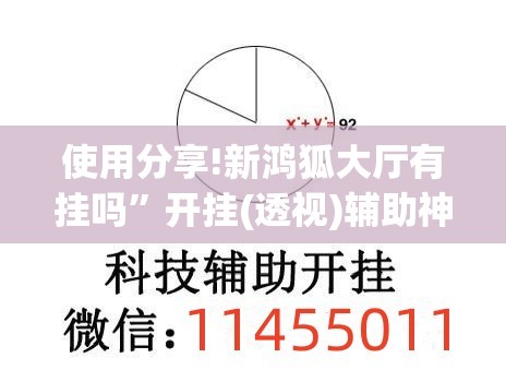 使用分享!新鸿狐大厅有挂吗	”开挂(透视)辅助神器