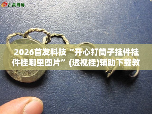 2026首发科技“开心打筒子挂件挂件挂哪里图片”(透视挂)辅助下载教程