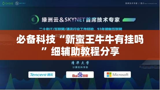必备科技“新蛮王牛牛有挂吗”细辅助教程分享