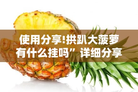 使用分享!拱趴大菠萝有什么挂吗”详细分享装挂步骤